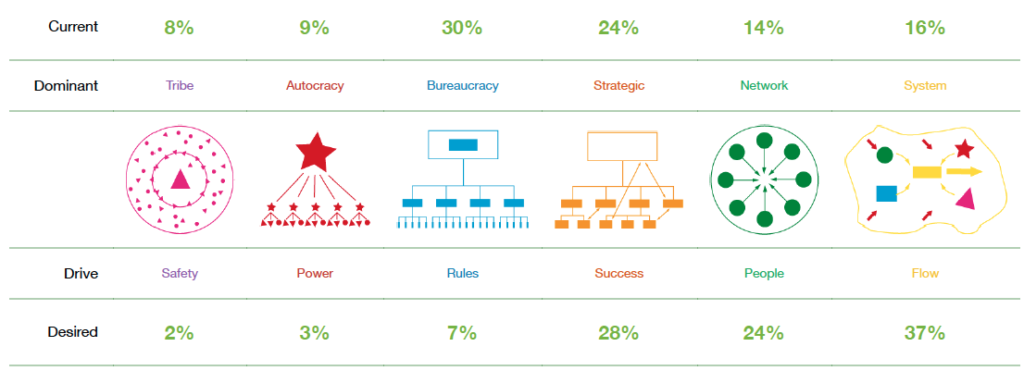 Organizational Structures and Cultures